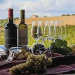 Filodivino Wine & Resort