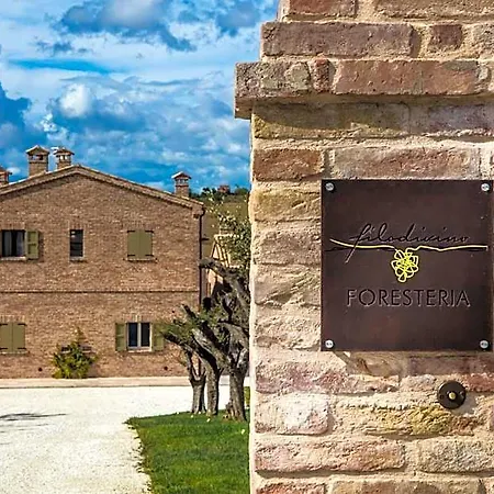 Filodivino Wine & Feriested San Marcello (Ancona)