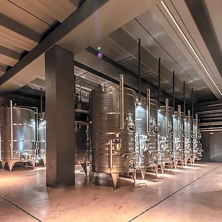Filodivino Wine & Feriested San Marcello (Ancona)