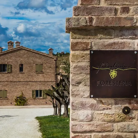 Feriested Filodivino Wine & San Marcello (Ancona)