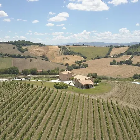 Filodivino Wine & Resort *