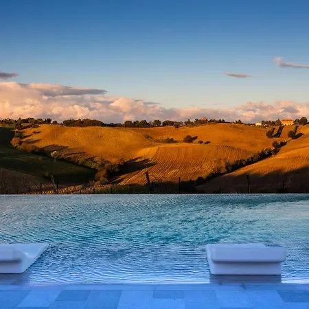 Filodivino Wine & * San Marcello (Ancona)