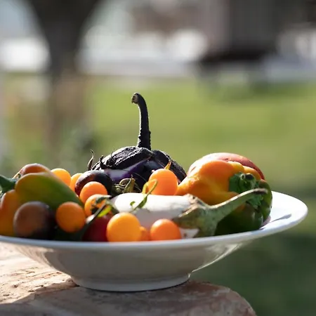 Filodivino Wine & Resort San Marcello (Ancona)