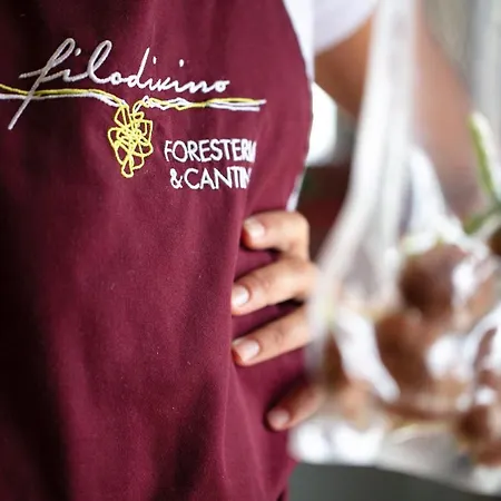 Filodivino Wine & *