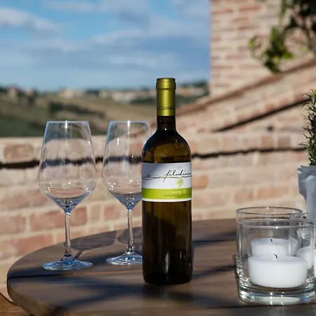 Filodivino Wine & San Marcello (Ancona)