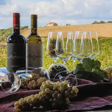 Filodivino Wine & Resort