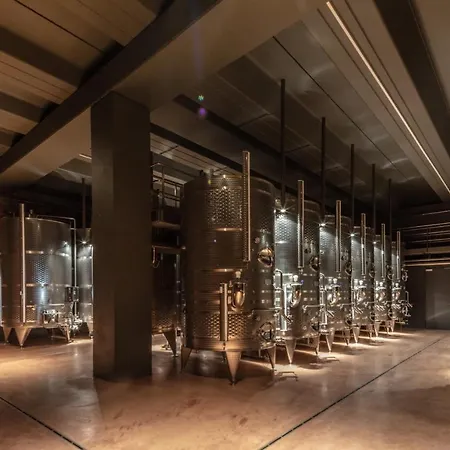Filodivino Wine & San Marcello (Ancona)