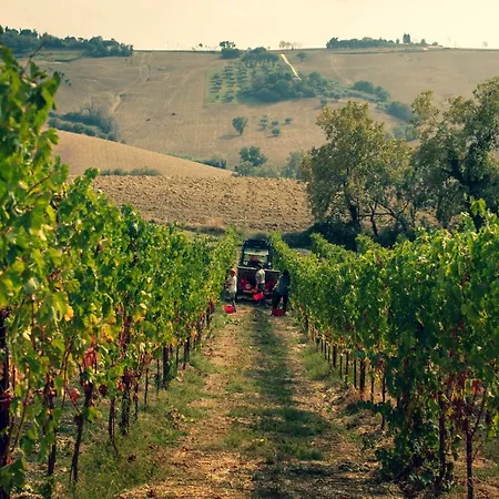Filodivino Wine & Resort San Marcello (Ancona)