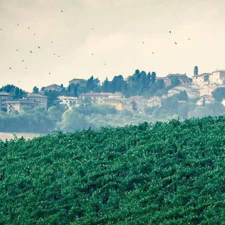 Filodivino Wine & Resort *