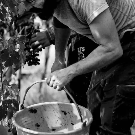 Filodivino Wine & Resort